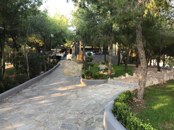 685fc955 82ed 4095 9291 535356973673