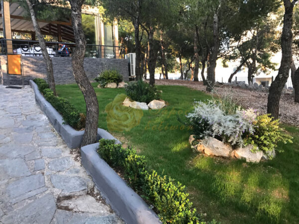 741987b3 528b 47ba 8240 c94fa4c3928c