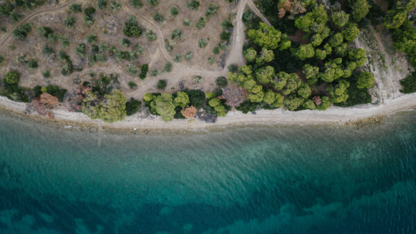 elimnionresort ktima gamou viles gamos evia 32